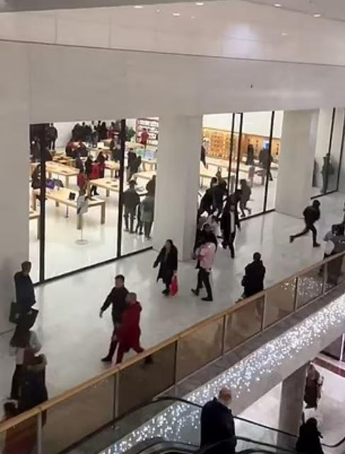 Polis Operasyonu ve Gözaltılar