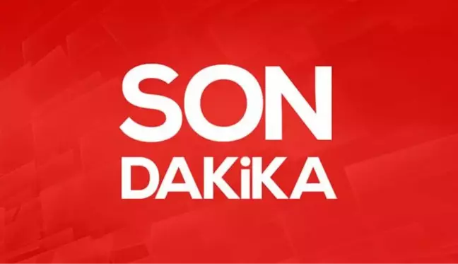 Deva Partisi’nin Geçmişi ve Güncel Durumu