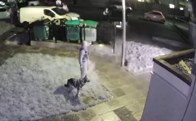 Olayın Detayları