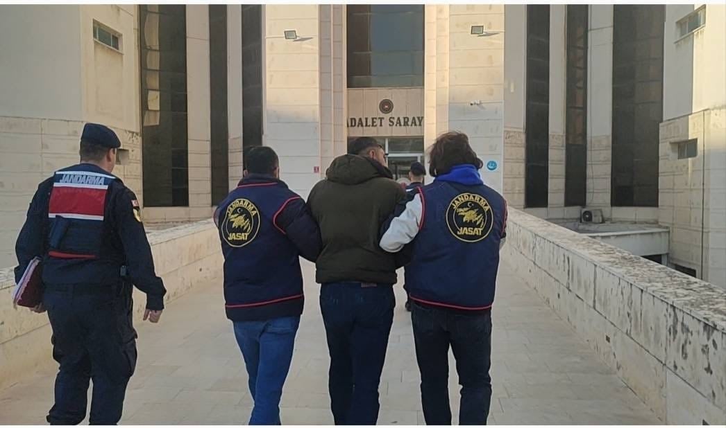 Kilo kilo değil; tonlarca çalmışlar… Zeytin hırsızları yakalandı